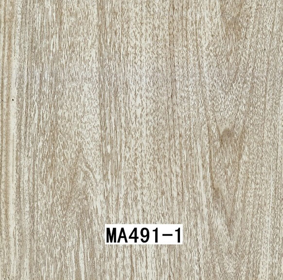 MA491-1 MA491-1