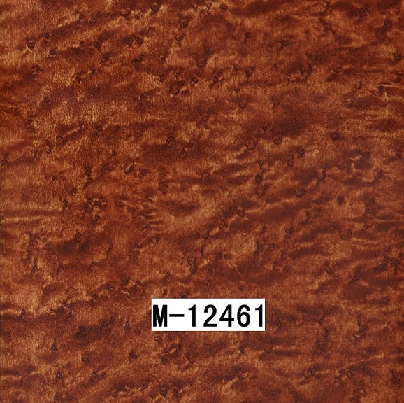M-12461 M-12461