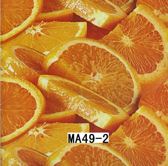 MA49-2 MA49-2