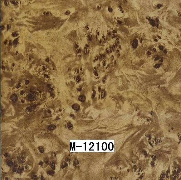 M-12100 M-12100