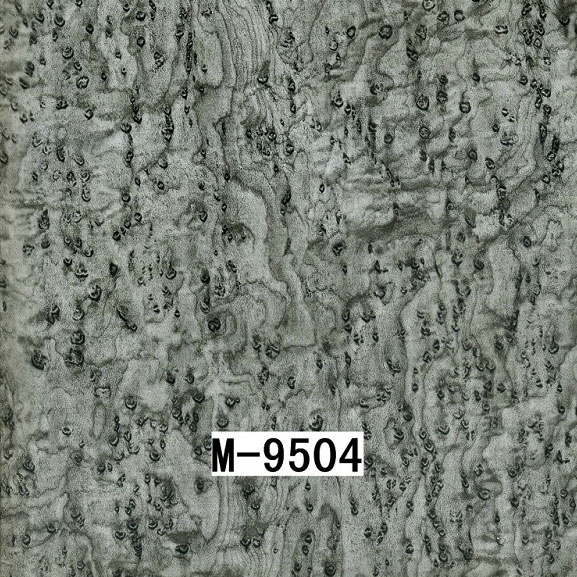 M-9504 M-9504