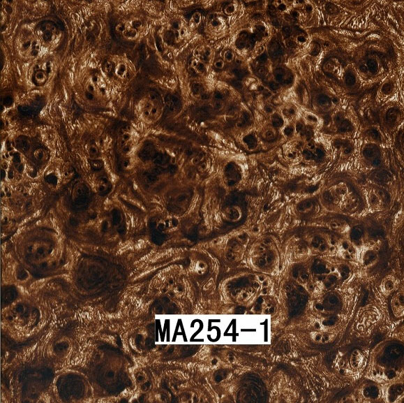 MA254-1 MA254-1