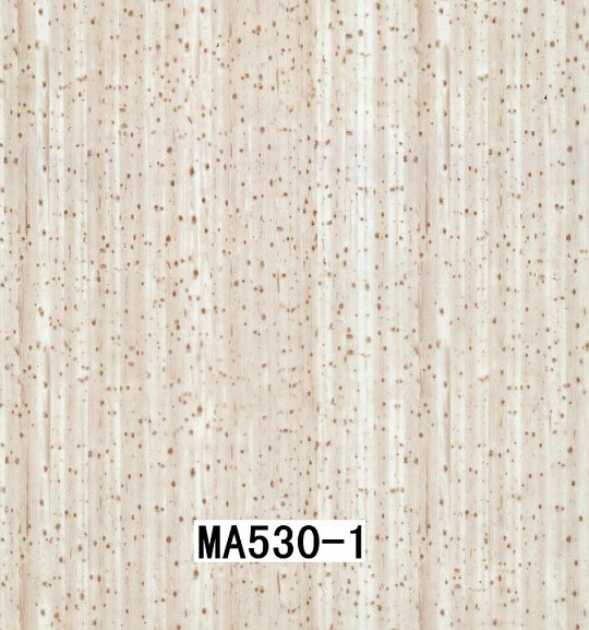 MA530-1 MA530-1