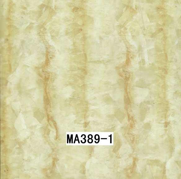 MA389-1 MA389-1