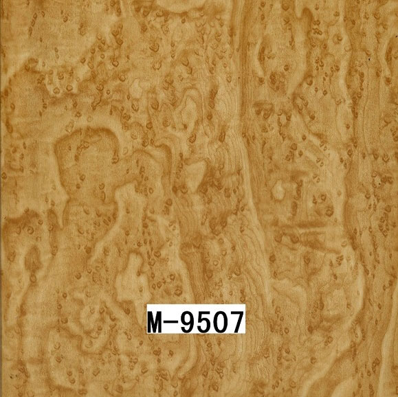 M-9507 M-9507
