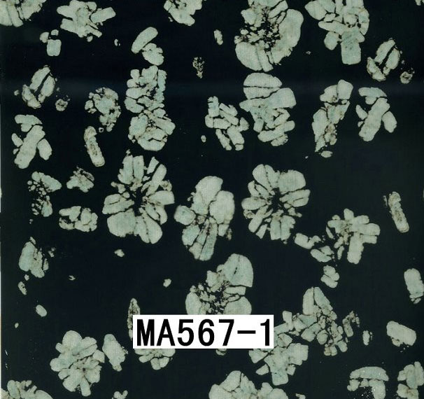 MA567-1 MA567-1