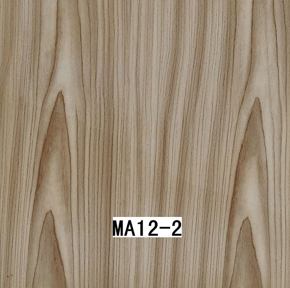 MA12-2 MA12-2
