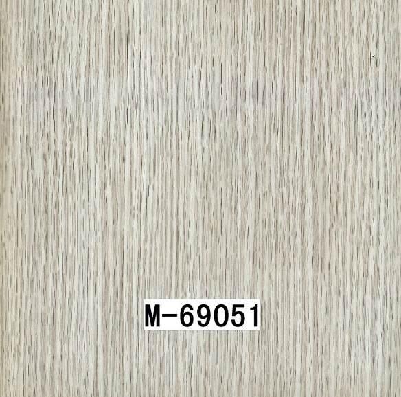 M-69051 M-69051