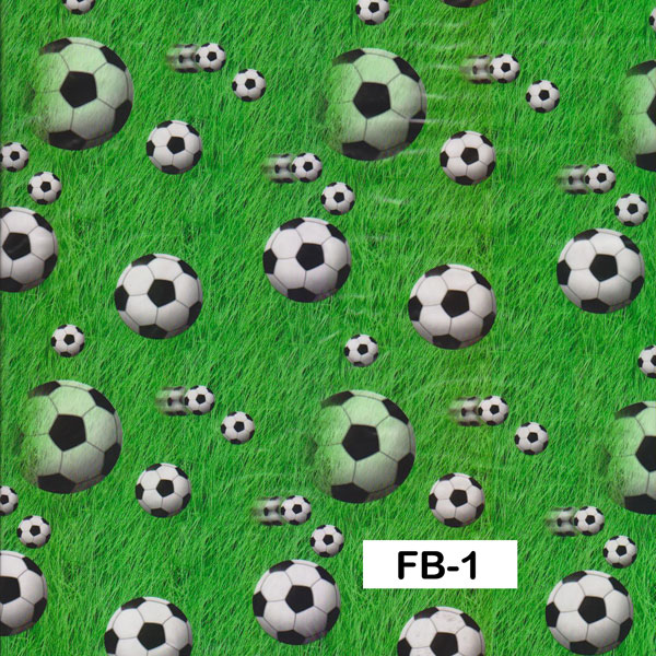 FB-1 FB-1