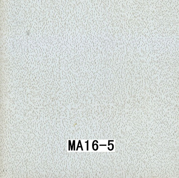 MA16-5 MA16-5