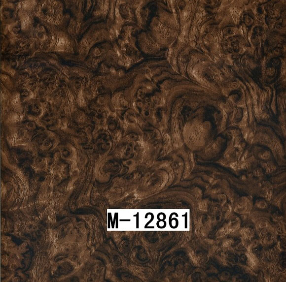 M-12861 M-12861