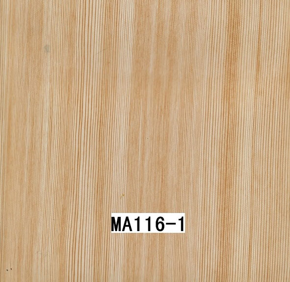 MA116-1 MA116-1